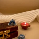 Neelam Chakori - Your Everyday Ethnic Charm