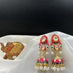 EVARA Gulabi Noor - A Contemporary and